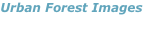 shapeimage_1_link_3